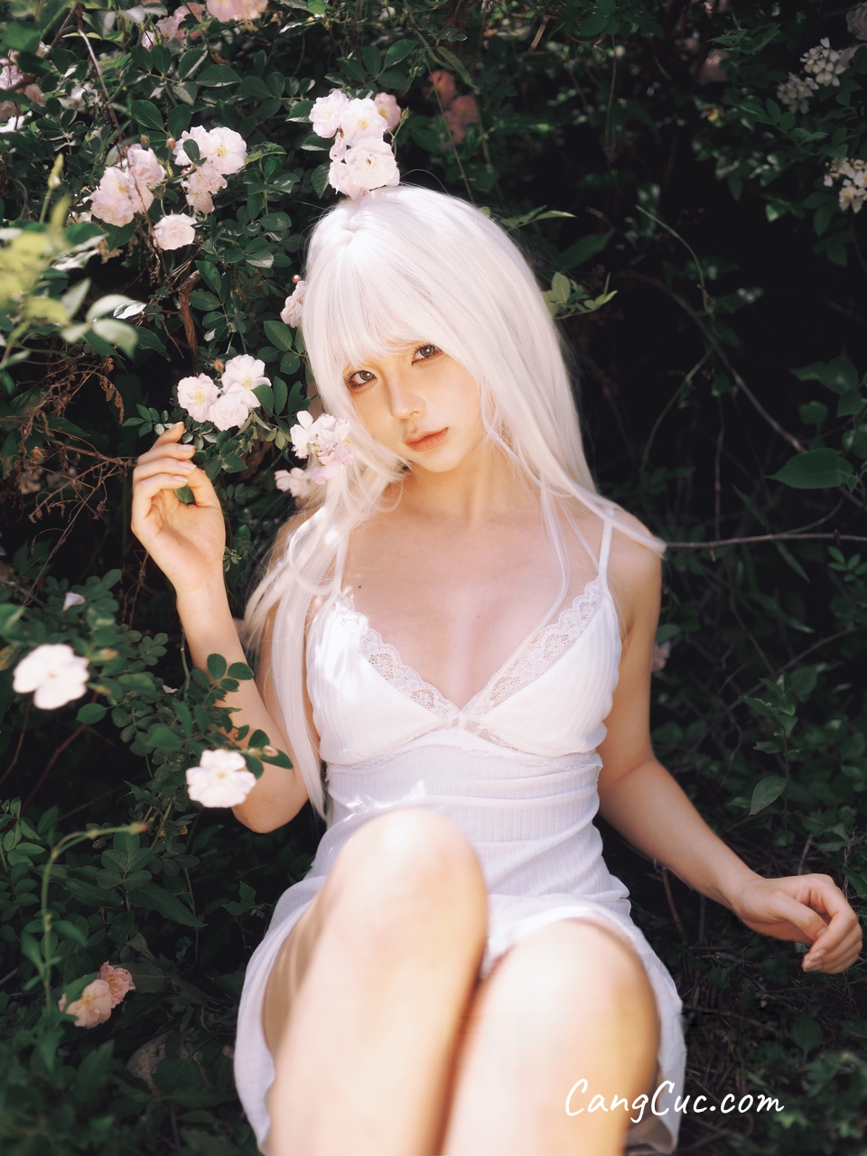 Watch sexy Coser@蠢沫沫 (chunmomo) – 绳 白发 photos